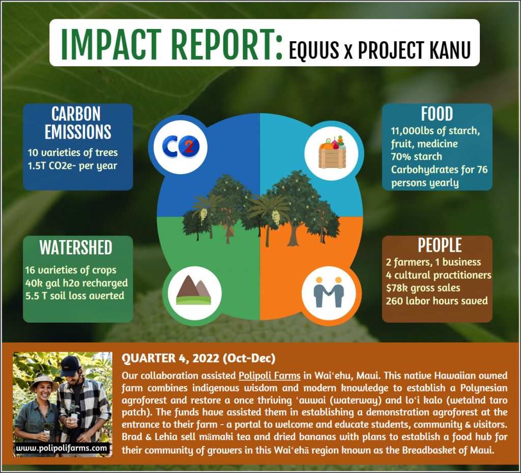 Equus Impact Report