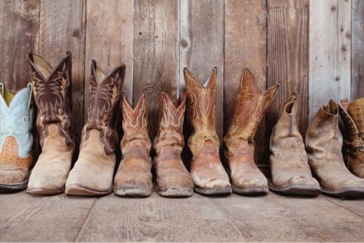 The Equus Saddle Club